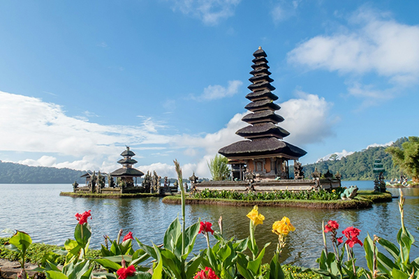 Special Bali